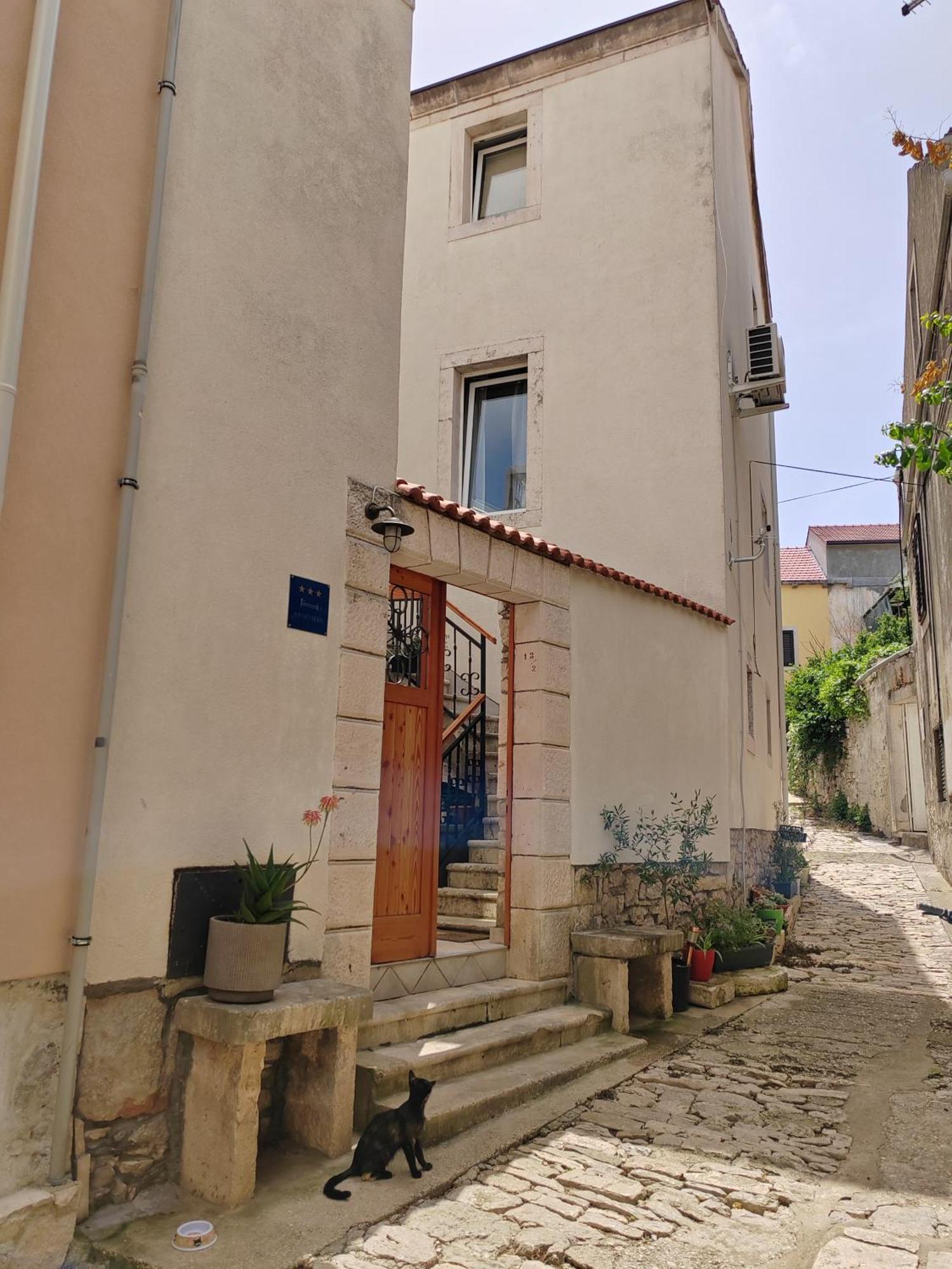 Apartments Ani Vela Luka Kültér fotó